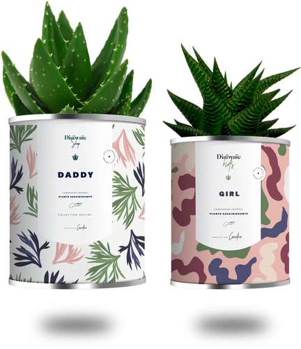 Plantes - Duo plantes assainissantes personnalisées - Daddy Girl/Boy | Diaïwaïe - Pandacola