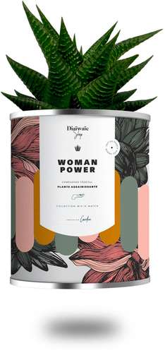 Plantes - Plante assainissante avec pot personnalisé Woman Power | Diaïwaïe - Pandacola