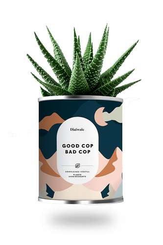 Plantes - Plante dépolluante publicitaire - Good Cop Bad Cop | Diaïwaïe - Pandacola