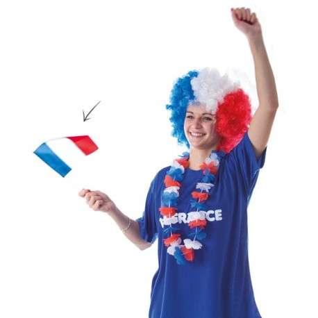 Drapeau France, 14 x 21 cms, en tissu, drapeau de supporter – MONDOCASH