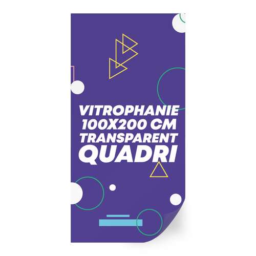 Vitrophanie - Sticker en vinyle vitrophanie transparent 100x200 cm format rectangle - Ashford - Pandacola