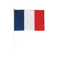 Drapeau à agiter France 30 x 45 cm - Pandacola