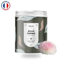 Kit de graines personnalisable Made in France - Bellis Perenis | Diaïwaïe - Pandacola