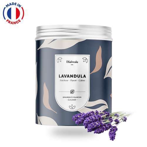 Graines - Kit de graines personnalisable Made in France - Lavandula | Diaïwaïe - Pandacola
