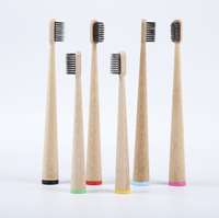 Brosse à dents debout en bambou adulte - Bani - Pandacola