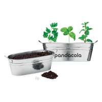 Bac à plantes personnalisable avec graines et terreau - Raifo - Pandacola
