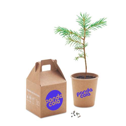 Kits de plantation - Kit de plantation personnalisable avec pot et graine de pinus nigra - Growtree - Pandacola
